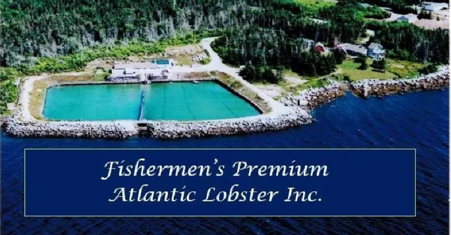 Top 10 Lobster Crawl Events - lobster pound