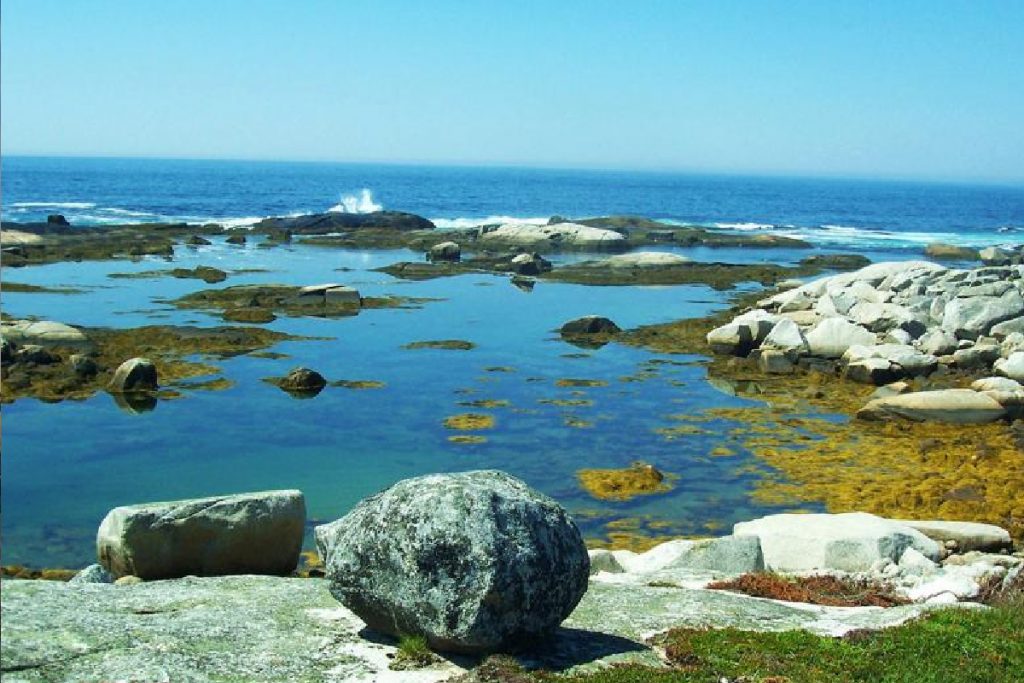Peggy's Cove Hike and Village Tour D