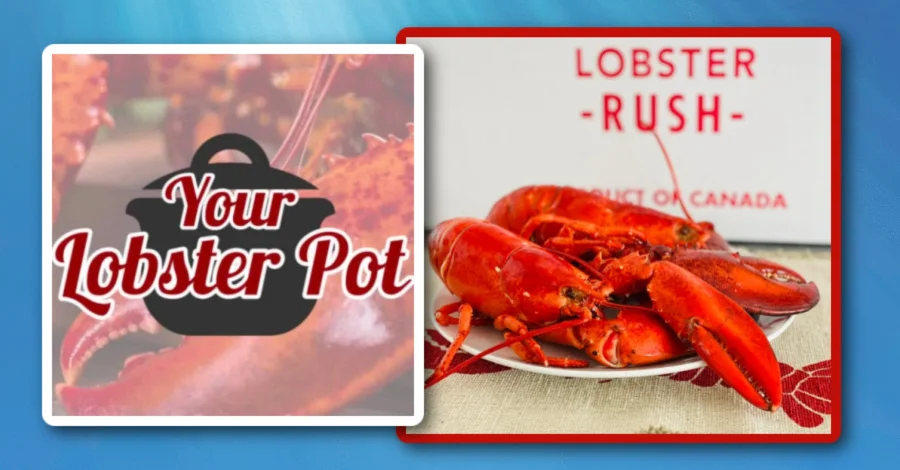 YOUR LOBSTER POT
