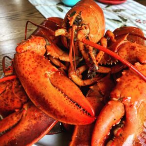 donnaofns-Instagram-3401-ig-17846757275547215