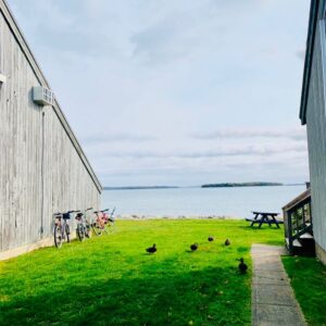 oakisland4season-Instagram-3401-ig-17931643150553581