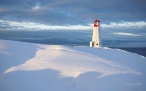 tjhfx-Instagram-3401-ig-17885798620983166