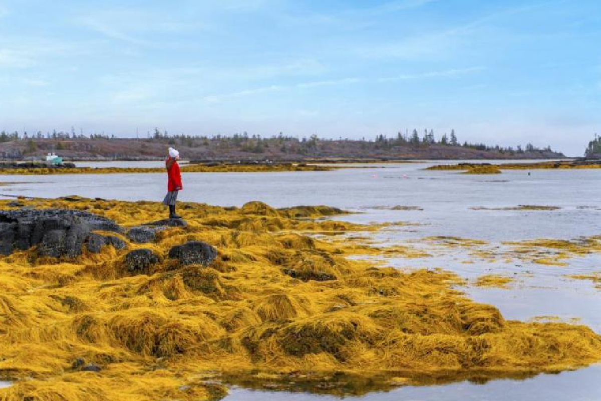 Lunenburg Hidden Gems