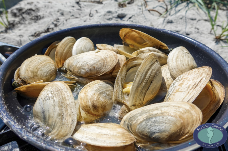 Beachfront Stay & Clam Digging